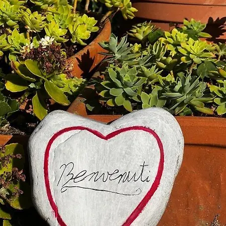 Дом отдыха Teresina *